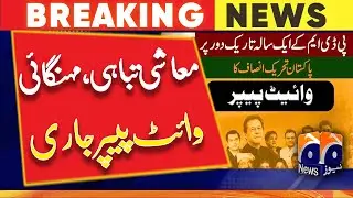 'Dark period': PTI issues &lsquo;white paper&rsquo; on PDM-led govt&rsquo;s one year performance