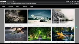 Website layout with images gallery using html & Css !