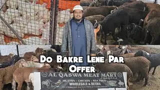 Sindhnur Mendo Par Bhari Offer @Al Qaswa Meat Mart Available Falaknuma | Hyderabad #goat #sheep