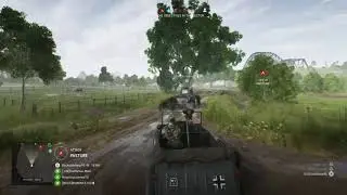 Road kill