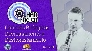 Desmatamento e desflorestamento