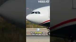 Ultimate Windsock