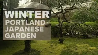 Winter at Portland's Japanese Garden