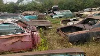 Vintage Junkyard walk around 1960's and 1950's Chevys
