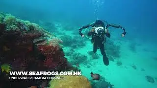 Diving with A6XXX Salted Line camera housing