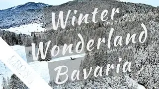 Forests covered in Snow - Bavaria | 4K