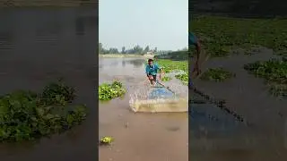 Nodir majhe dore eshe thela jali diye heavy mach shikar #fishing #video