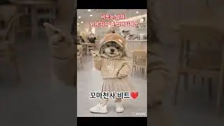 여장 남자?ㅋㅋ 아잉 몰라~ A cross-dressing man? #yorkshireterrier #숏츠 #반려견