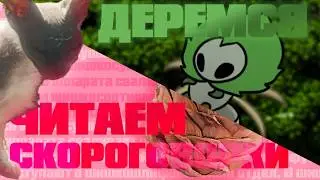 Торжественное открытие топа игроков в Силксонге + СПИДРАНИМ