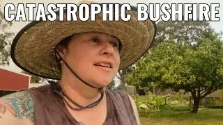CATASTROPHIC BUSHFIRE week on our homestead