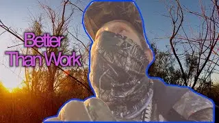Better Than Work