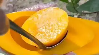 নীল কুঠির  is live!  Street food live