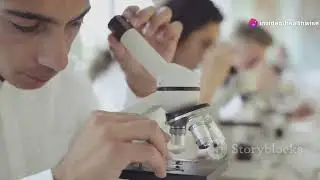 Solving the Lab Workforce Crisis: Long-Term Solutions