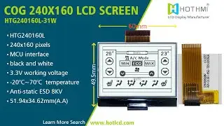 240&times;160 MCU interface black and white COG LCD screen