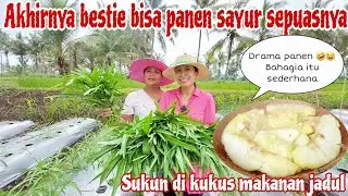 GAGAL 3X‼️Akhirnya bestie bisa panen sayur SEGAR sepuasnya || masak Sukun buat pak Tukang