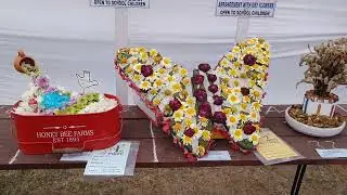 #Rose Fastival Chandigarh 2023 #flowers @hovan1819