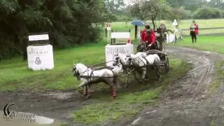 Thomas Van Dyck   Marathon Durbuy 2016