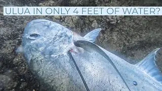 Spearfishing Hawaii-