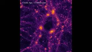 Cosmological Simulation: Large Scale Structure Formation ｜L10-N196