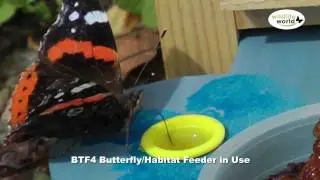 The Wildlife World Butterfly Habitat/Feeder product in use