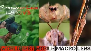 Review And Filed Test Vlogs Of New Mobile Macro Lens Prosumer L810 V3 || SMP Wildlife || 2022 ||