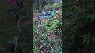 Не такой уж и короткий - Привет, осень