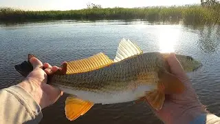 Catching Redfish in Vermilion Bay - Redfish with a Popping Cork