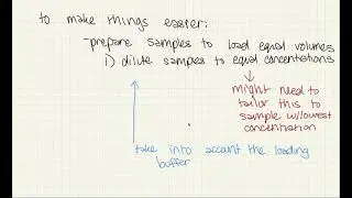 SDS-PAGE calculations - walk-through of how to calculate and prepare to load equal masses per lane