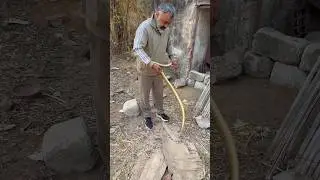 Big rat snake rescued and released by me #yt #animalrescue #shortsfeed #snake #shorts #reels #short