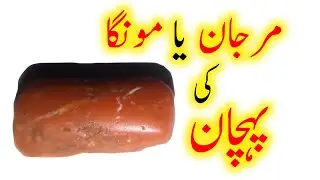 Original Marjan Stone ki Pehchan | Monga ki pehchan | Real Coral | marjan stone