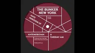 Antemeridian - 