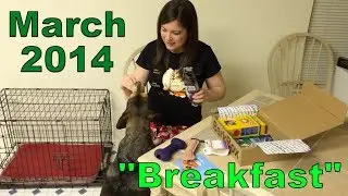 Barkbox - March 2014 - Medium 