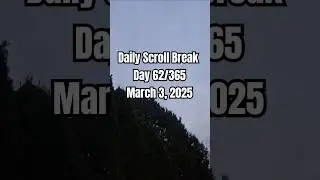 Take A Moment | Daily Scroll Break | Day 62/365 | #TakeAMoment #JustForNow
