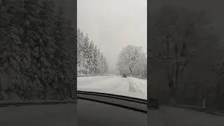 Grey Weather | Oberhof  Th&uuml;ringen | Lee Goldi Vlog