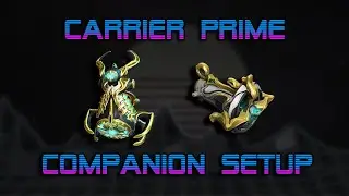 Warframe | Carrier Prime + Sweeper Prime | Companion Setup