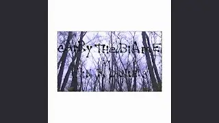 Carry the Blame