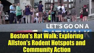 Boston's Rat Walk: Exploring Allston's Rodent Hotspots and Community Action