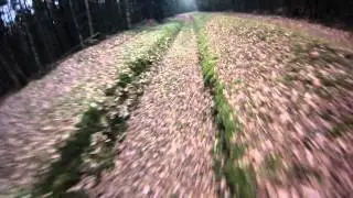 la Rigole d'hilvern