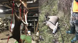 156BroD Will Bro D Eat Deer? + Bonus Materials Bro D Steals Welding Rods