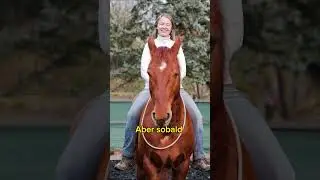 SICHER AM BODEN, UNSICHER IM SATTEL? #angstreiter #reiten #pferde #shorts