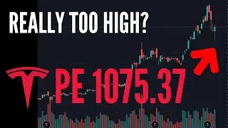 The Problem with Tesla Stock PE ratio | Weekly Tesla Stock Analysis