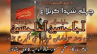 Toheed Keh Rahi a Ae Nafas e Motma'een Aaja HUSSAIN(A.S) #matami #azadari #ajareresalatnohay 