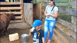 Luis Arthur, tomando leite tirado na hora, e montando no boi com ajuda do tio bastião
