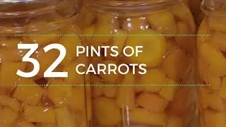 32 Pints of CARROTS!!! Canned in ONE Day!