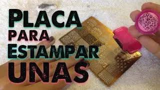 Como usar las Placas de Sellos para U&ntilde;as - Paso a Paso 💅🏼