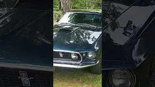 Ford Mustang #mustang #ford #fordmustang #america #usa #engine #gasoline #fuel #v8 #v10 #v12 #v6