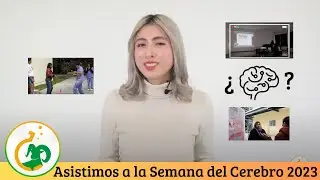 Semana del Cerebro 2023 en UABC - Ciencia Cimarr&oacute;n