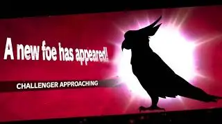 A new foe has appeared!
