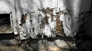 Termite Control : Will Termites Eat Treated Lumber?