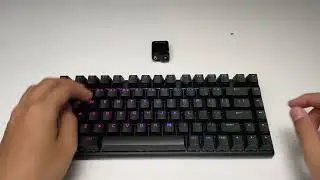 Sound test chuột Dell Alienware Pro Gaming Keyboard